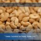 Cashew Price Per Kg In Vietnam 2026: Grade-By-Grade FOB Prices And What Moves Them