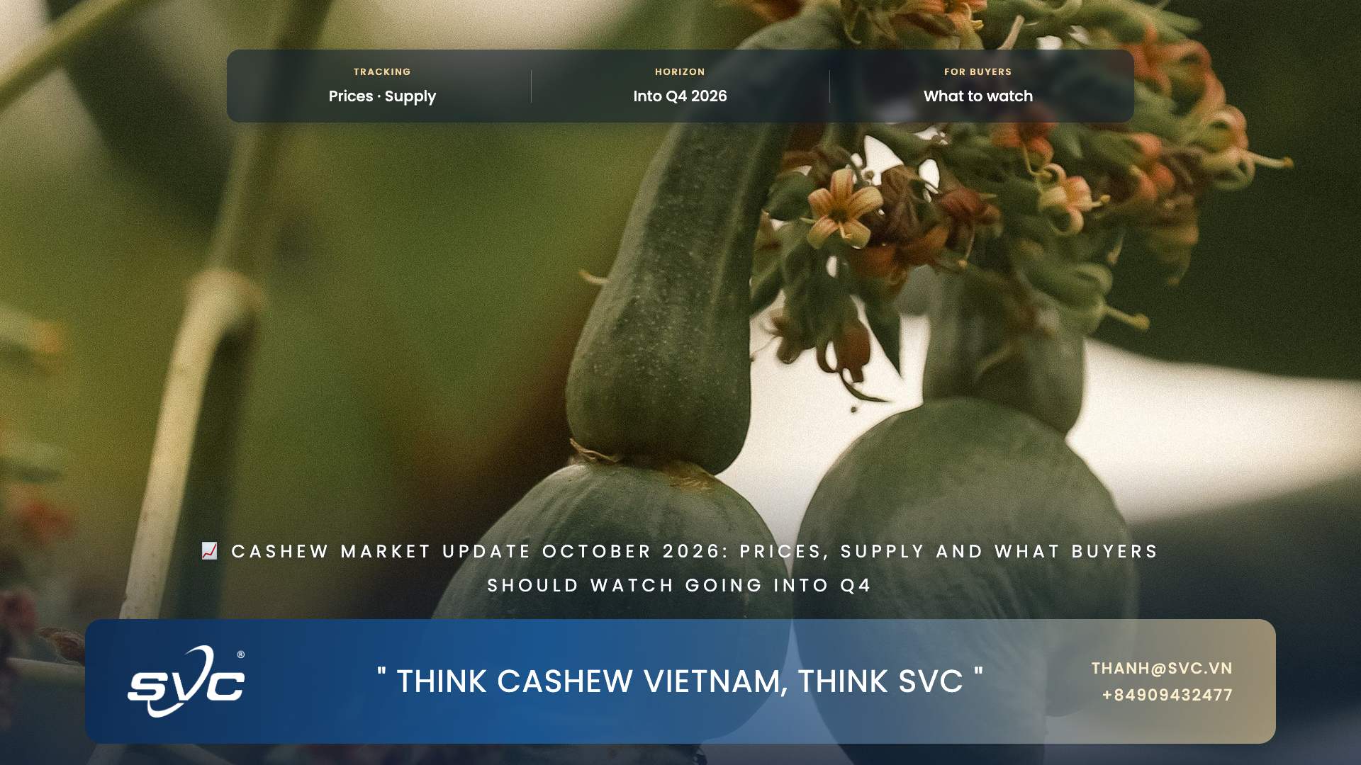 Cashew Market Update October 2026: Prices, Supply And What Buyers Should Watch Going Into Q4