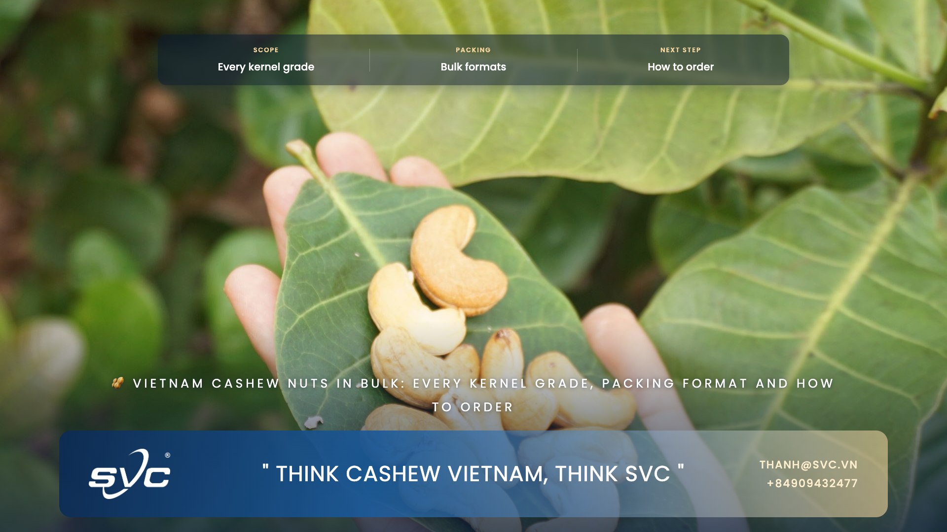 07 16 10 vietnam cashew nuts in bulk