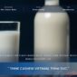 Cashew Kernels For Plant-Based Milk, Cheese And Butter: Which Grades Manufacturers Use