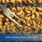 Cashew Price Today: SVC Official FOB Price Update For Every Kernel Grade