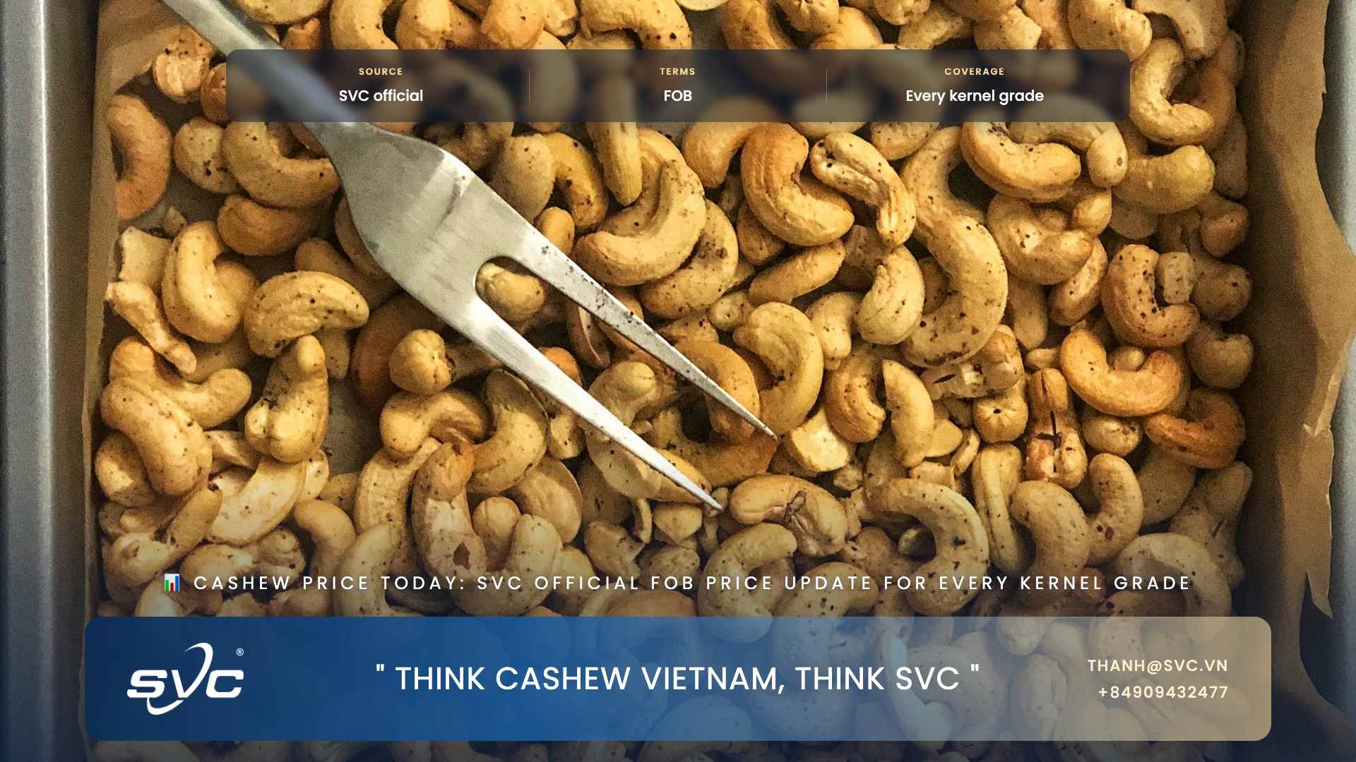 Cashew Price Today: SVC Official FOB Price Update For Every Kernel Grade