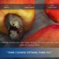 Vietnam Cashew Exporters List 2026: Where To Find Verified Exporters And How To Check Them