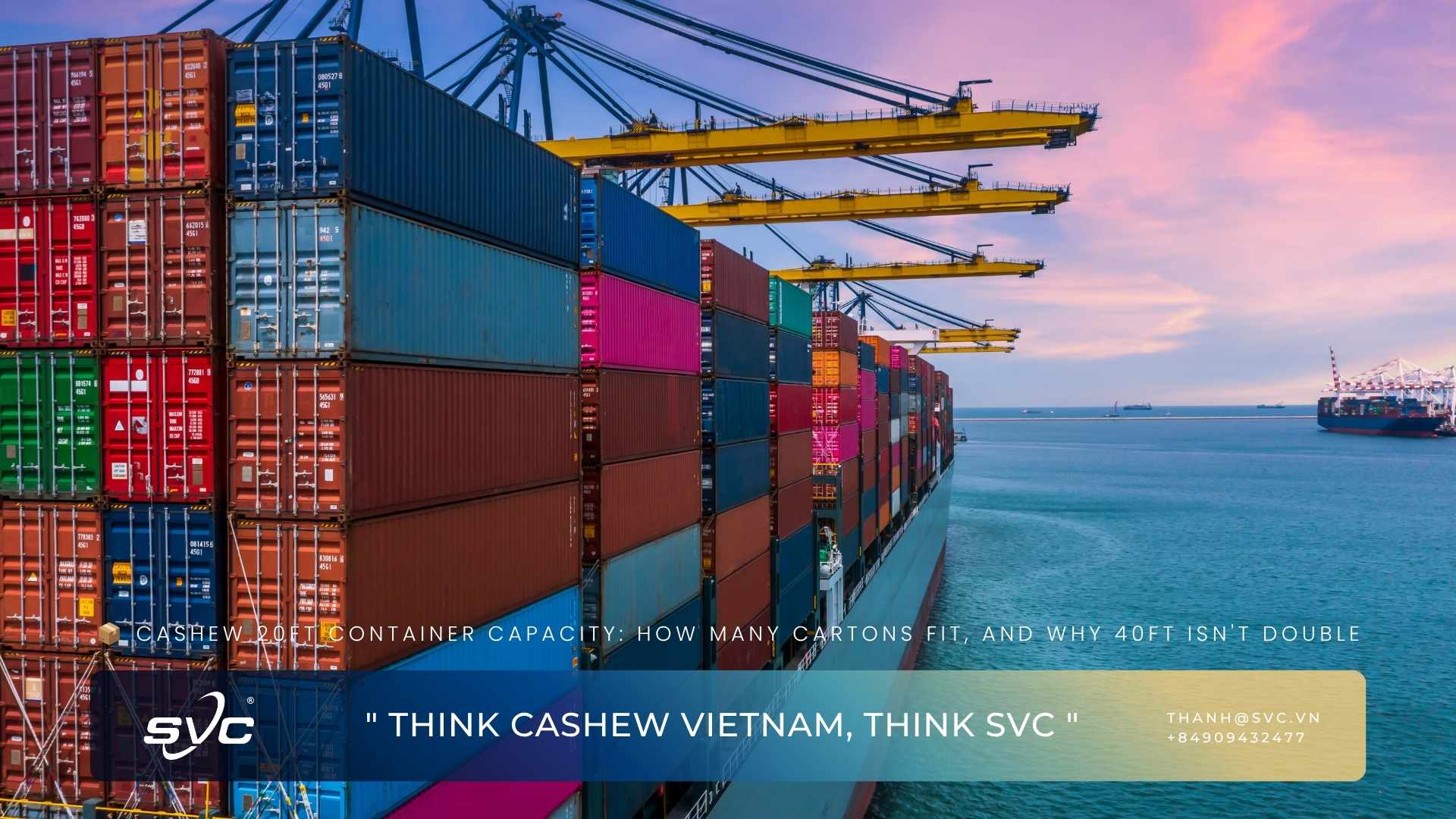 Cashew 20ft Container Capacity: How Many Cartons Fit, And Why 40ft Isn't Double